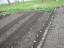 Rotação de culturas: depois do nabo instalou-se tomate, pimento, pepino e courgette; depois da cebola optamos por plantar alface.